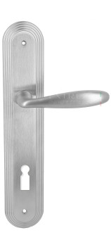 Дверная ручка Extreza VIGO (Виго) 324 на планке PL05 KEY матовый хром F05
