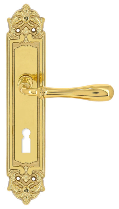 Дверная ручка Extreza CARRERA (Каррера) 321 на планке PL02 KEY полированная латунь F01