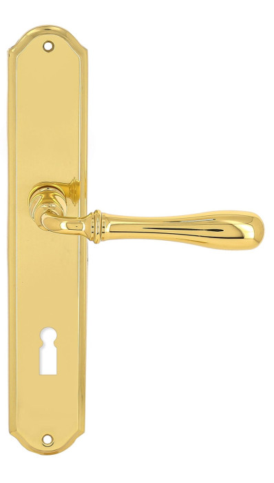 Дверная ручка Extreza CARRERA (Каррера) 321 на планке PL01 KEY полированная латунь F01