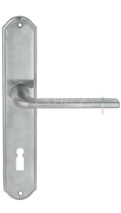 Дверная ручка Extreza TERNI (Терни) 320 на планке PL01 KEY матовый хром F05